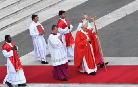 El papa cargó contra el triunfalismo en la misa del Domingo de Ramos