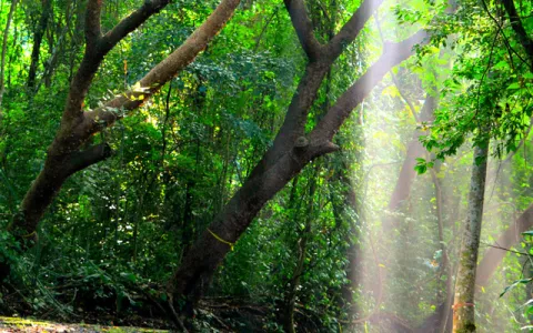 Preparan foro de turismo en el Parque Natural Metropolitano 