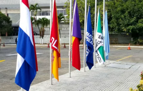 ¿Por qué los partidos políticos pueden reservar cargos de elección?