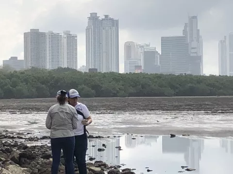 ARAP investiga muerte de peces en la bahía de Panamá