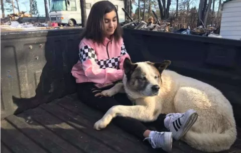 Perro vuelve con sus dueños 101 días tras extraviarse huyendo de incendio forestal 