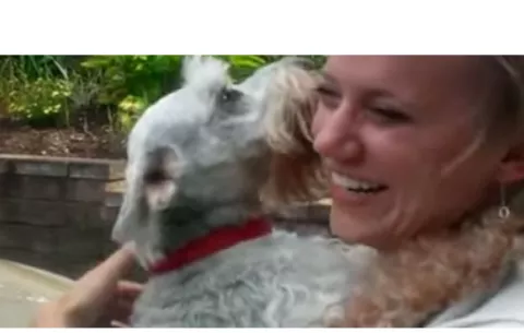 Video de perra que se desmayó al ver a su dueña se vuelve viral