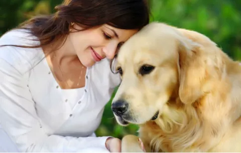 Mascotas y dueños encuentran el amor en Internet