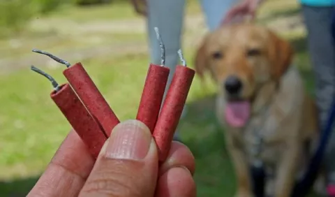 La pirotecnia, enemiga de las mascotas