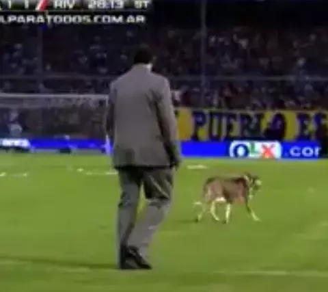Perro se roba el show en el duelo entre Central-River