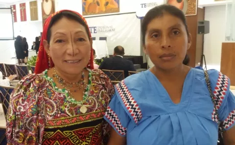 Petita Ayarza vestirá de mola en la Asamblea Nacional 