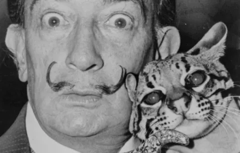 Mirada a Dalí, sin espejo