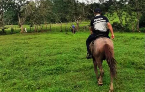 Policía Nacional implementa patrullaje a caballo contra el hurto pecuario en Panamá Norte