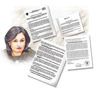 Kenia Porcell operó el metabuscador un año antes del contrato