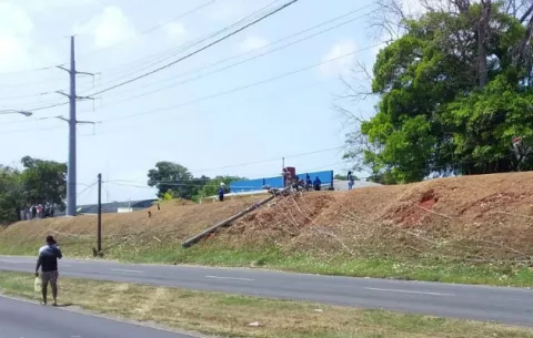  Caída de postes eléctricos en Colón fue porque quemaron la raíz de un árbol