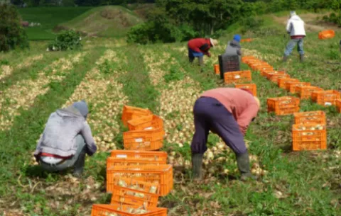  Productores analizarán hoy los avances de las nueve peticiones hechas al Gobierno