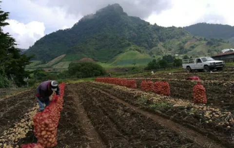 Productores: 'Aupsa es una amenaza para el sector agropecuario'