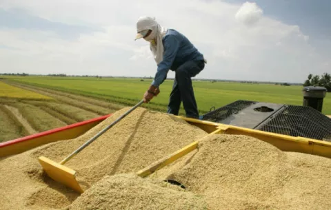 Productores llevan 52 meses esperando que el Gobierno cumpla las promesas 