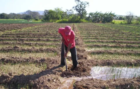 Productores califican el 2018 como uno de los peores  para el sector