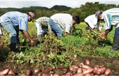 Productores piden reunión con Varela