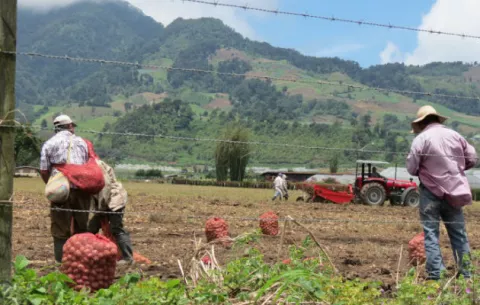 Nuevo revés para los productores