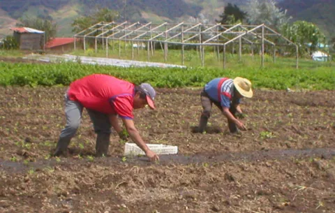 Productores sostienen que se debe garantizar  mercado a sus rubros 