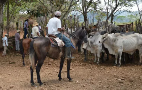 Productores no descartan protesta a nivel nacional