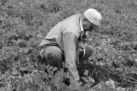En defensa del productor agropecuario