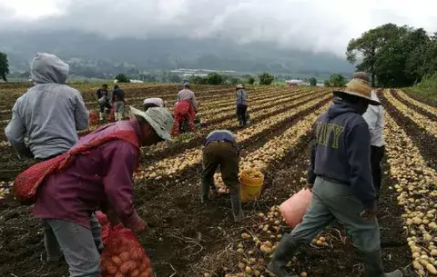 Productores y Gobierno llegan a un acuerdo