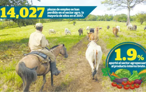 Productores nacionales se pintan otra vez de guerra