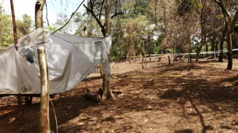 Solicitan el desalojo de un grupo de precaristas en Puerto Caimito
