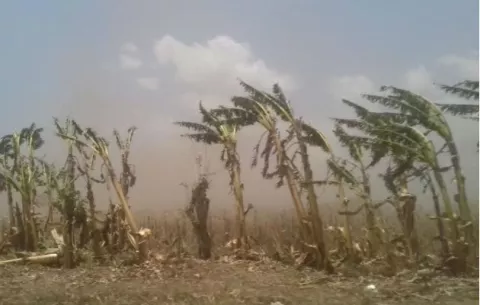 Feligreses que caminan hacia Alanje deben tomar medidas por fuertes vientos
