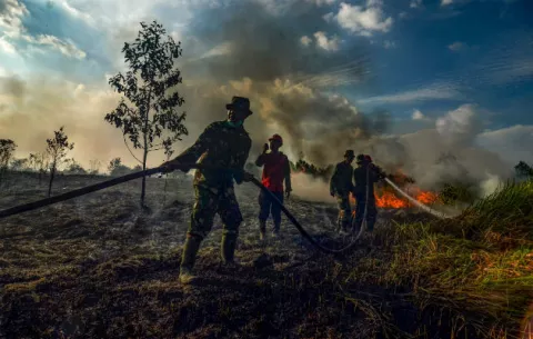 La Tierra se calienta y arden los bosques del mundo