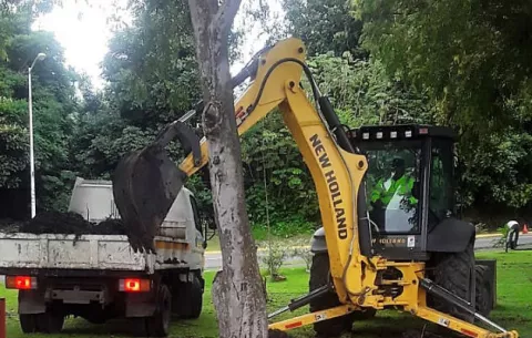 Proyectos de reforestación se realizarán en áreas revertidas