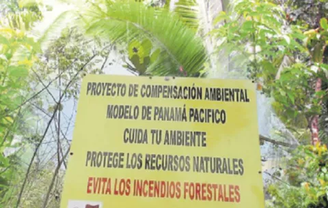 Reforestación de 400 hectáreas concluye este año