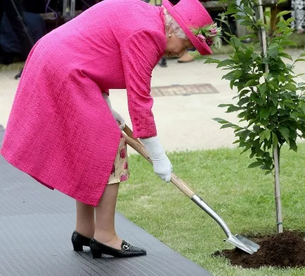 La reina Isabel II rechaza ayuda para sembrar un árbol y asegura que aún puede hacerlo