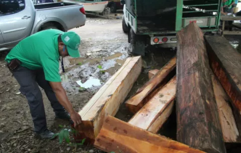 Retienen camión cargado de caoba nacional en Herrera, no tenía permisos