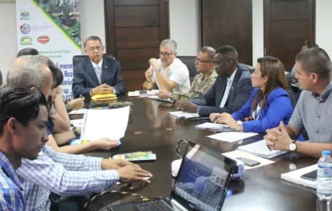 Panamá se prepara para enfrentar amenaza de hongo de plátano y banano