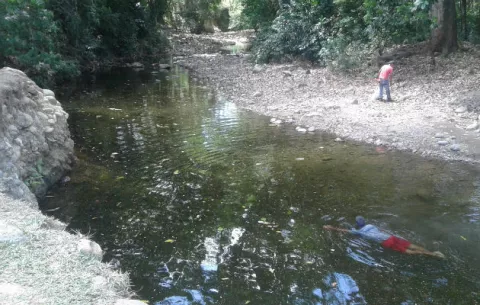 Disminuye el caudal del río Chame por rigores de la estación seca y deforestación 