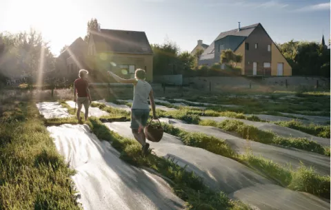 Se rebela la Francia rural y prohíbe los pesticidas