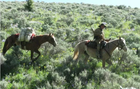 Alrededor de 600 hombres viven como "The Revenant" en las montañas de EE.UU.