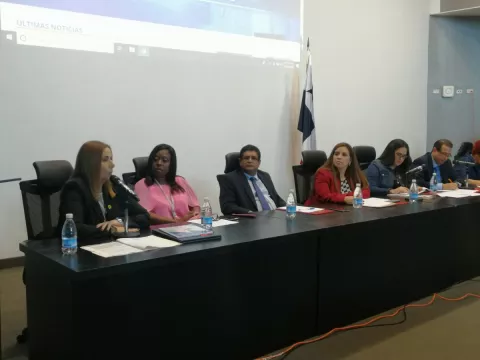 Directora de Migración, Samira Gozaine, acude a la Comisión de la Mujer de la Asamblea Nacional