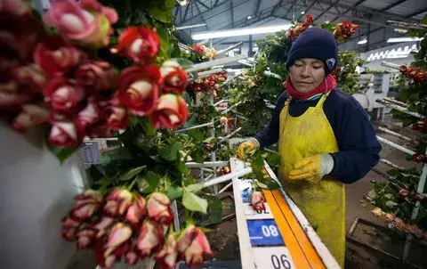 San Valentín: flores y dulces, los obsequios preferidos