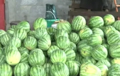 Bajan las ventas de sandía en Chiriquí; consumidores no están comprando