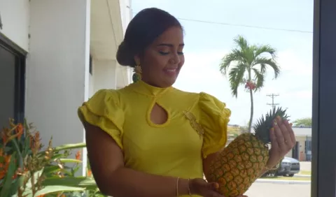 Se acerca la Feria de la Piña, en Zanguenga