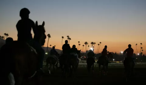 Van 21 caballos muertos en el hipódromo de Santa Anita
