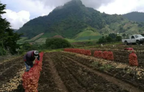 Sectores agropecuario, comercial, industrial y turismo, necesitan de un empuje dinámico 