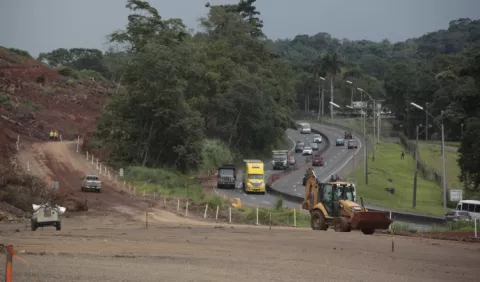 La selva de cemento se come los bosques