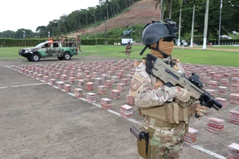 Más de 12 mil paquetes de sustancias ilícitas ha incautado el Senan en lo que va del 2019