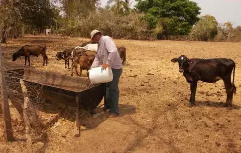 Los reservorios de agua no bastan, hay que cuidar el entorno para que esta se mantenga