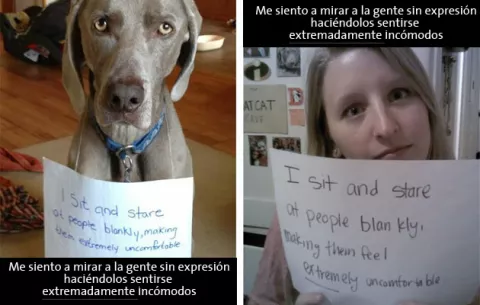 La gran tendencia de humillación por la web tiene consecuencias positivas
