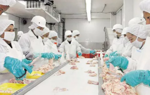 La industria manufacturera representa una alternativa para hacerle frente al desempleo