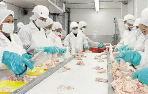 SIP: Panamá  requiere un replanteamiento de su visión de negocio 