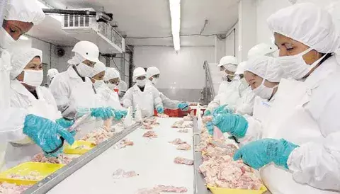 Pésimo desempeño de la manufactura durante el 2018 en comparación al 2017, según industriales