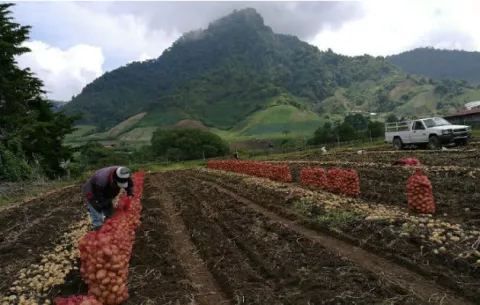SIP: matriz económica de Panamá debe ser diversificada 